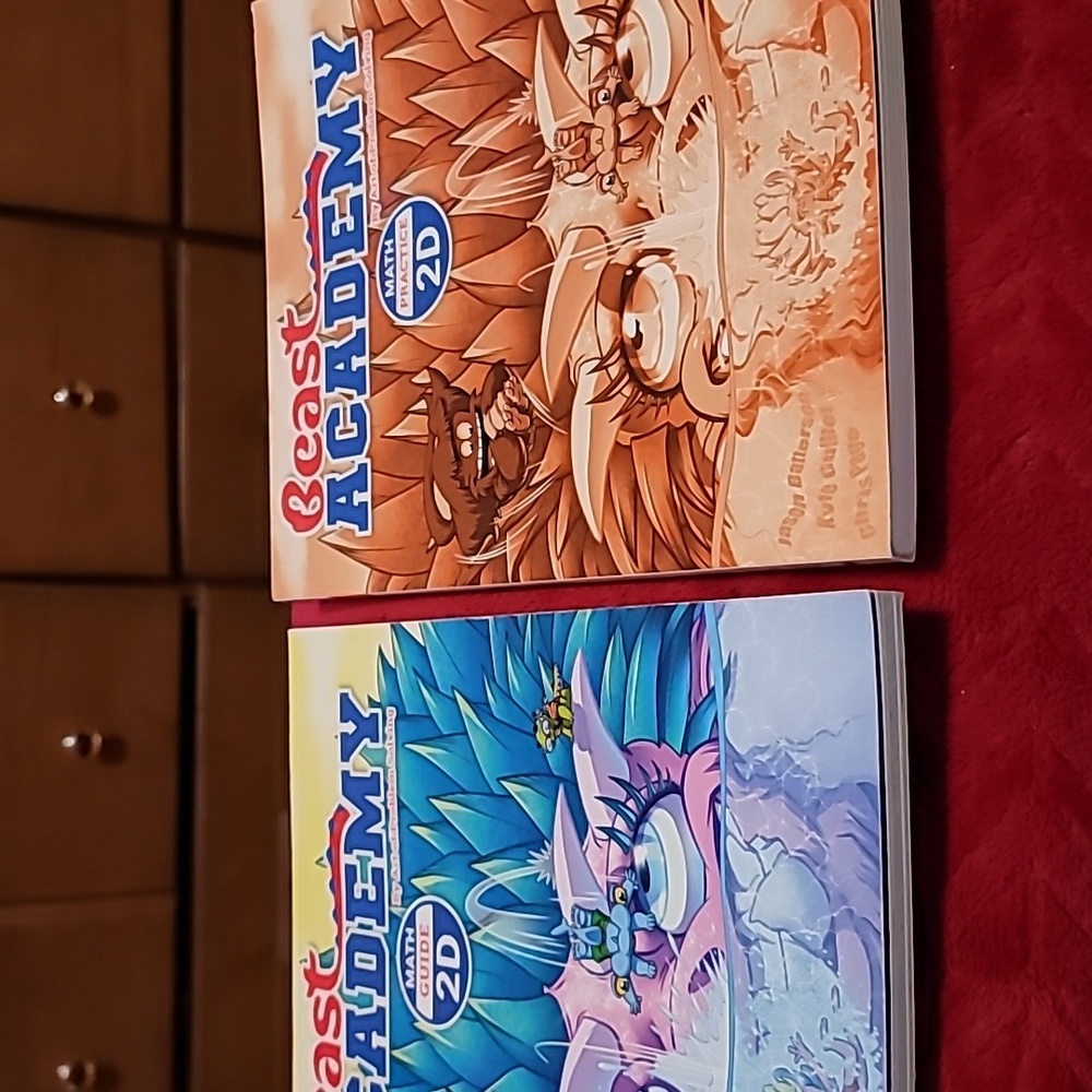 Set of 2 Beast Academy Math Guide and Practice 2D level books